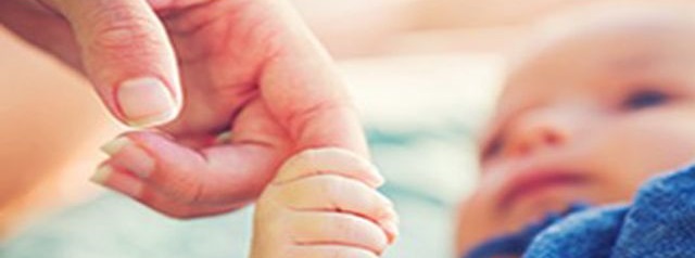 1488184511706280.jpg 1488184511706280.jpg