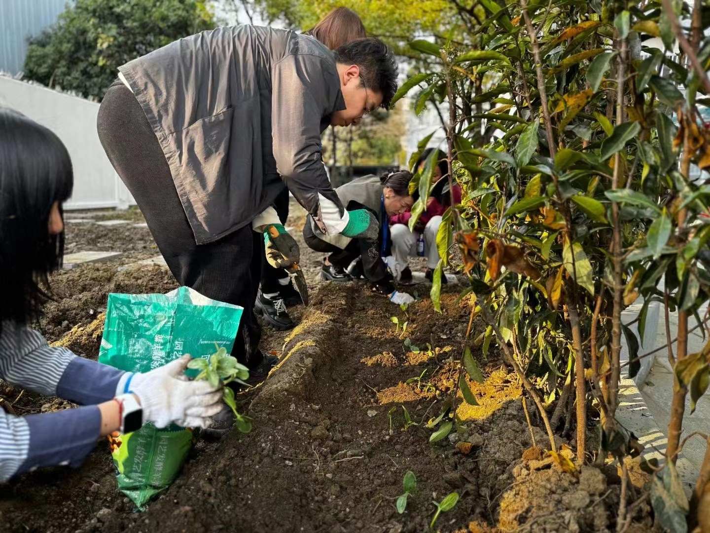 1711952451117351.jpg 1711952451117351.jpg