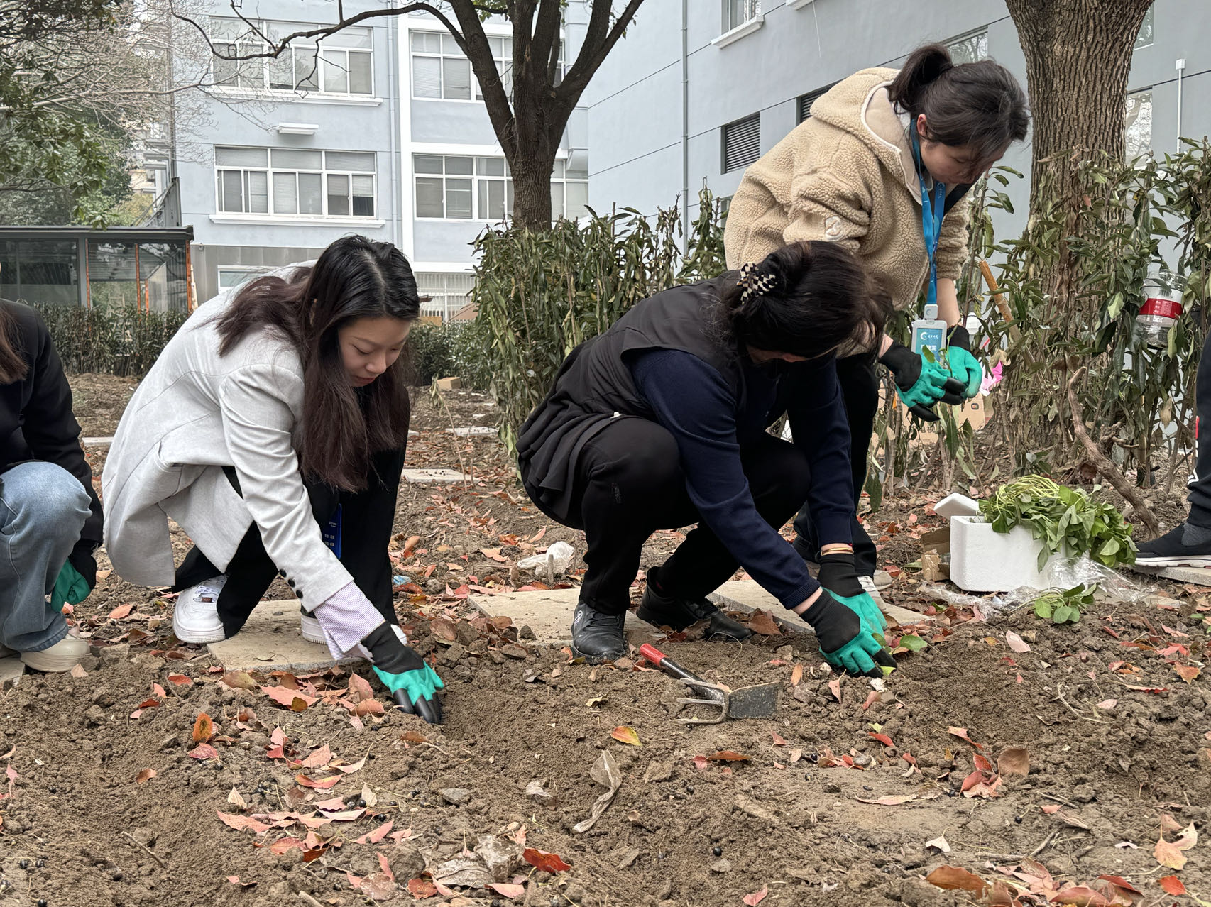 1711952456295757.jpg 1711952456295757.jpg