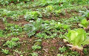 1711952462267700.png 1711952462267700.png